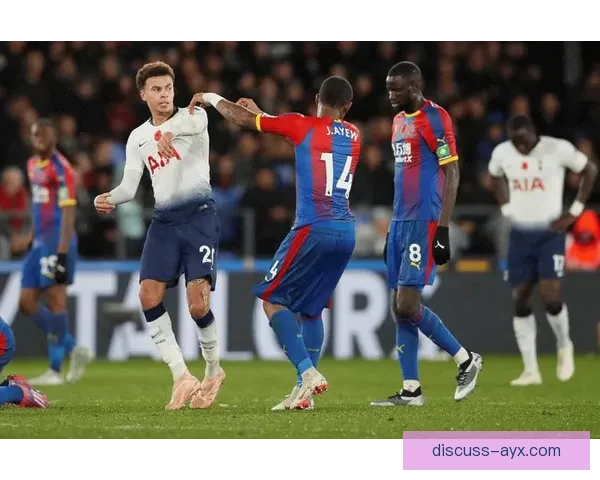 围绕水晶宫俱乐部的荣耀传承与英超奋进之路探秘精神与未来蓝图展望