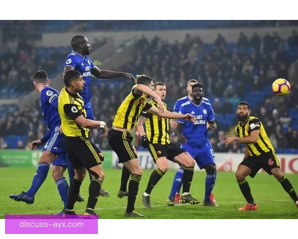 富勒姆俱乐部迎关键赛季调整引援战术冲击英超新目标管理层布局升级 富勒姆俱乐部迎关键赛季调整引援战术冲击英超新目标管理层布局升级